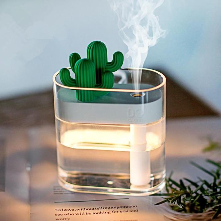 MODERN CACTUS HUMIDIFIER