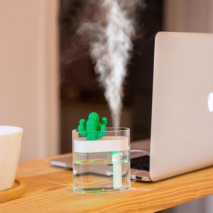 MODERN CACTUS HUMIDIFIER